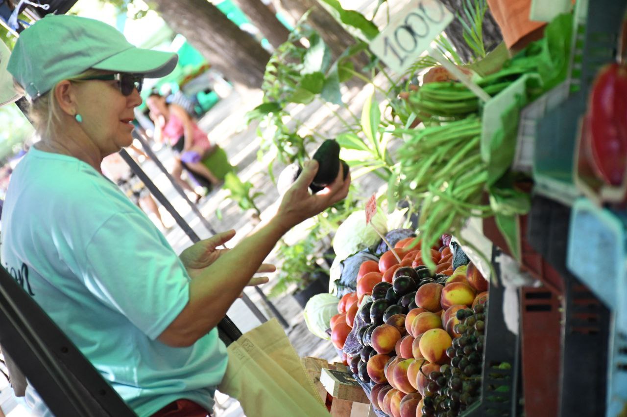 Las Ferias de la Ciudad estarán en ocho barrios en un nuevo recorrido semanal