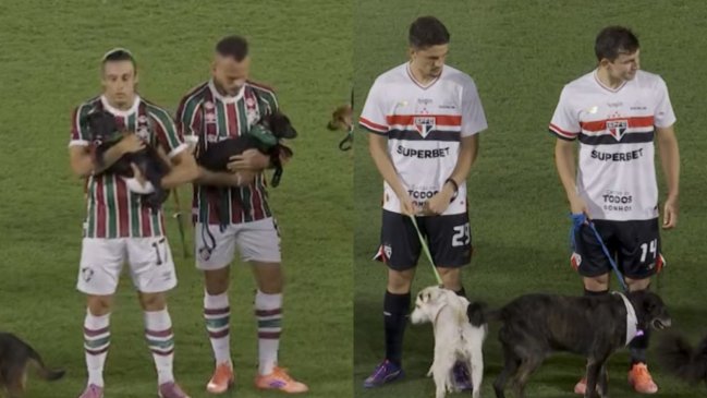 Campaña de adopción: Jugadores de Fluminense y Sao Paulo entraron con perritos a la cancha