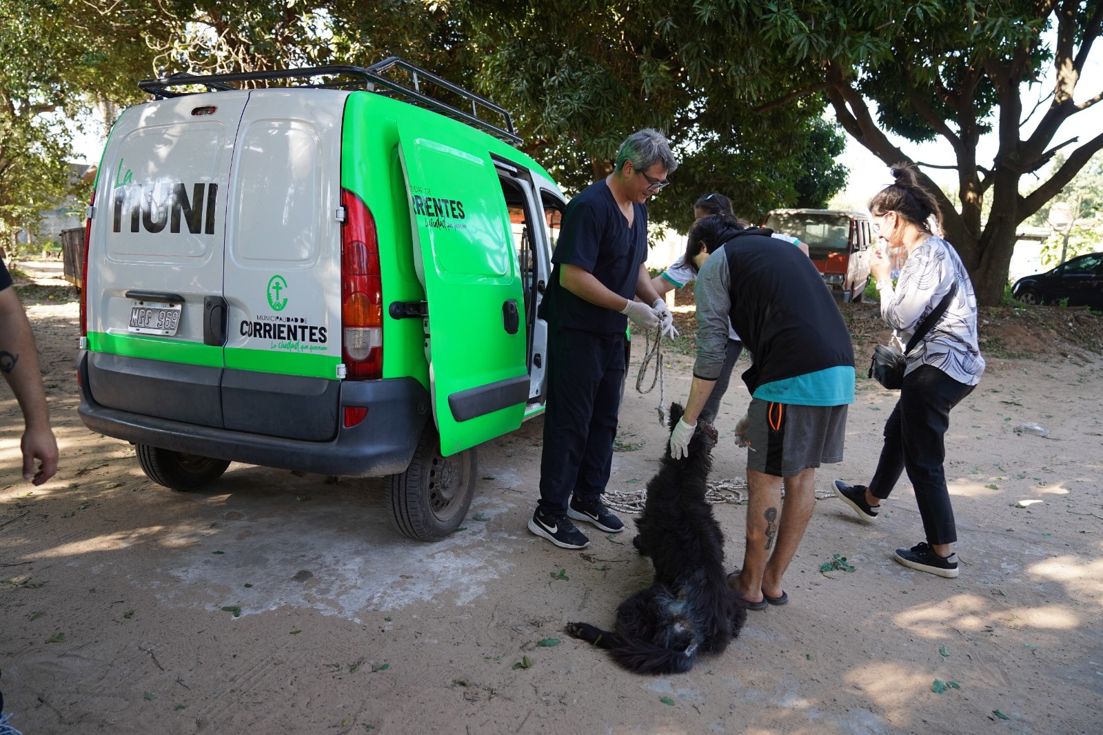 Bienestar Animal: rápida intervención municipal permitió asistir y comenzar el tratamiento de un perro enfermo