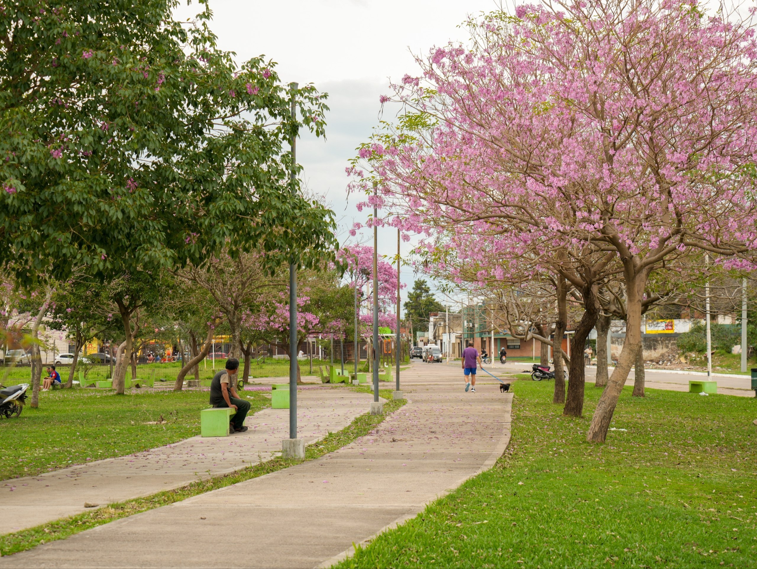 La Municipalidad de Corrientes lanzo el concurso de fotografía La ciudad que queremos florece