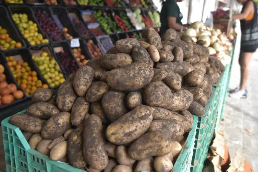 Papa y cebolla, cada vez más caras: el clima presiona sobre los precios